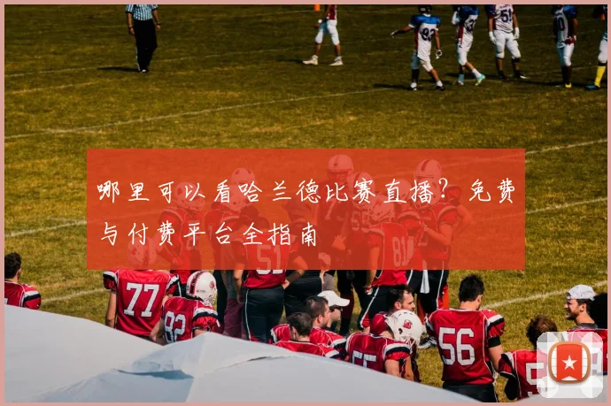 哪里可以看哈兰德比赛直播？免费与付费平台全指南