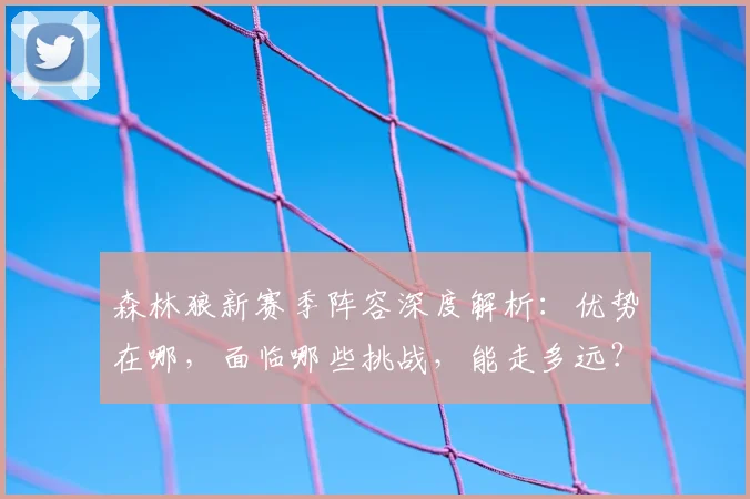 森林狼新赛季阵容深度解析：优势在哪，面临哪些挑战，能走多远？