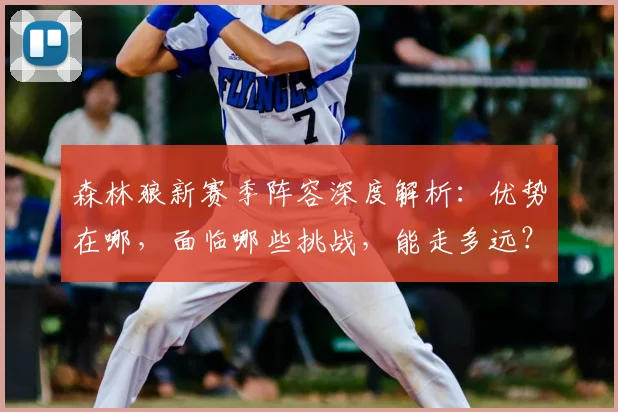 森林狼新赛季阵容深度解析:优势在哪,面临哪些挑战,能走多远?