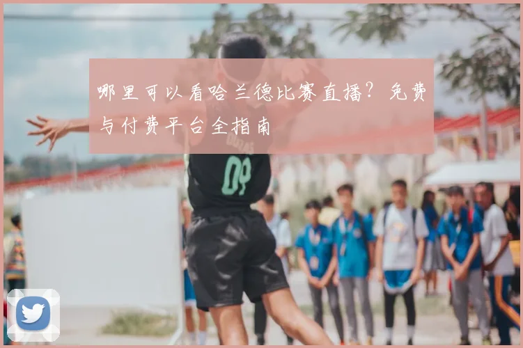 哪里可以看哈兰德比赛直播?免费与付费平台全指南